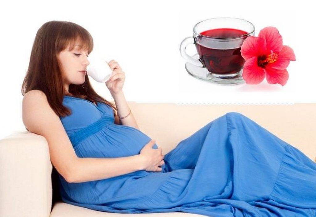 Можно ли пить чай каркаде при беременности как пить чай каркаде беременным для лучшей пользы?