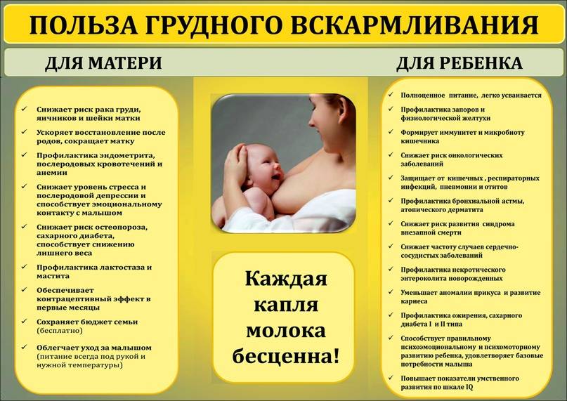 Курение при грудном вскармливании - мапапама.ру — сайт для будущих и молодых родителей: беременность и роды, уход и воспитание детей до 3-х лет