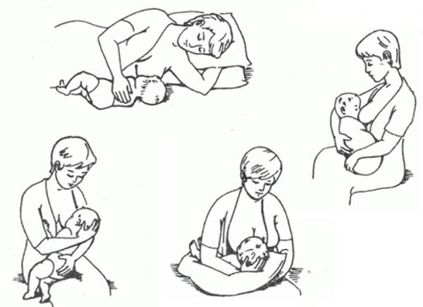 Как кормить новорожденного