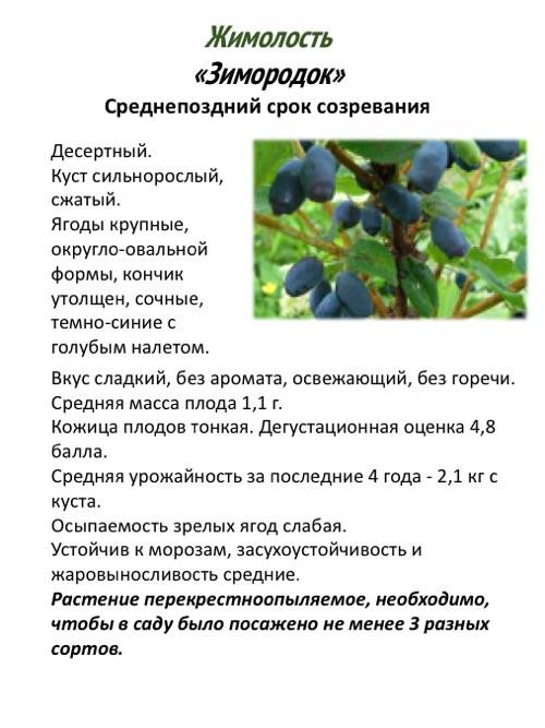 Доломитка весной: удобная шпаргалка, куда и сколько добавлять в саду и огороде на supersadovnik.ru