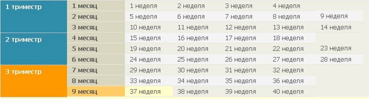 Что такое «четвертый триместр» и чего от него ждать