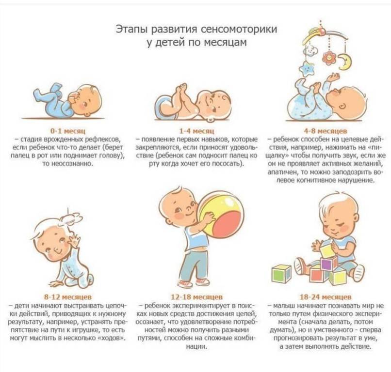 Что должен уметь ребенок в 1 год. полное описание всех двигательных и речевых навыков при нормальном развитии ребенка в 1 год.