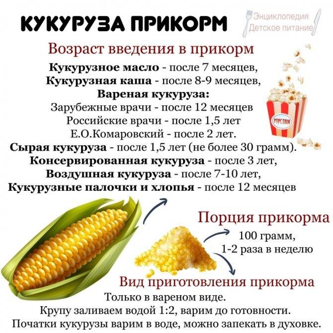 С какого возраста можно кормить ребенка кукурузой