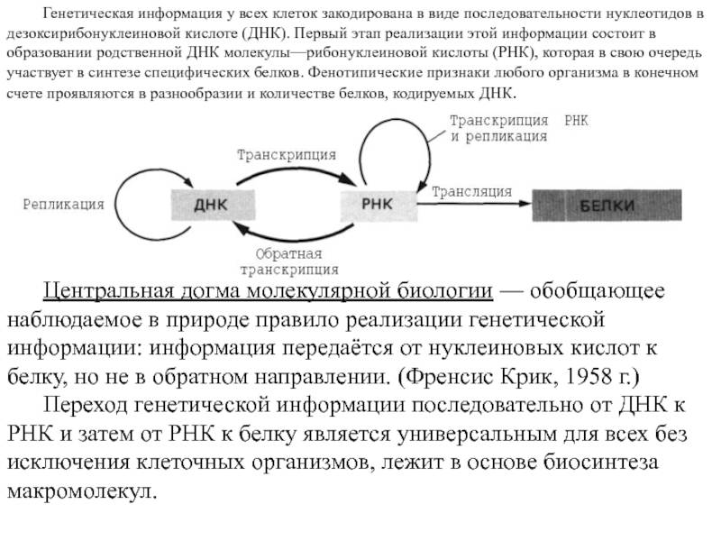 Процессу реализации генетической информации отвечает схема