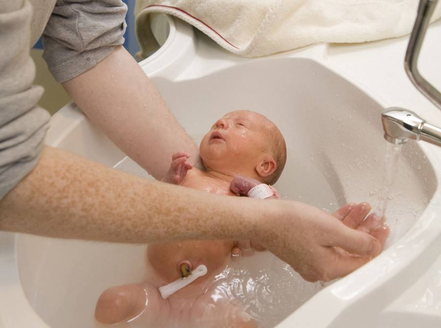 Правильное подмывание новорожденной девочки: как часто мыть и чем обрабатывать