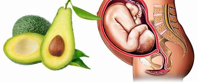 Авокадо при беременности: рецепты, полезные свойства, рекомендации - samchef.ru