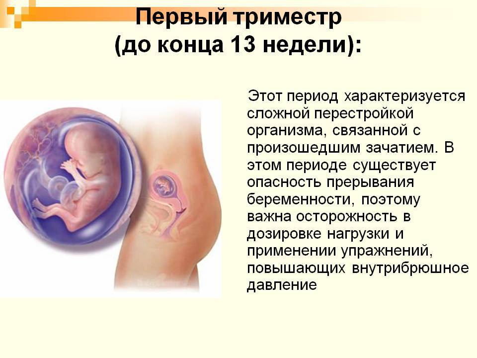 Скрининг 1, 2, 3 триместра беременности | отделение платных услуг
