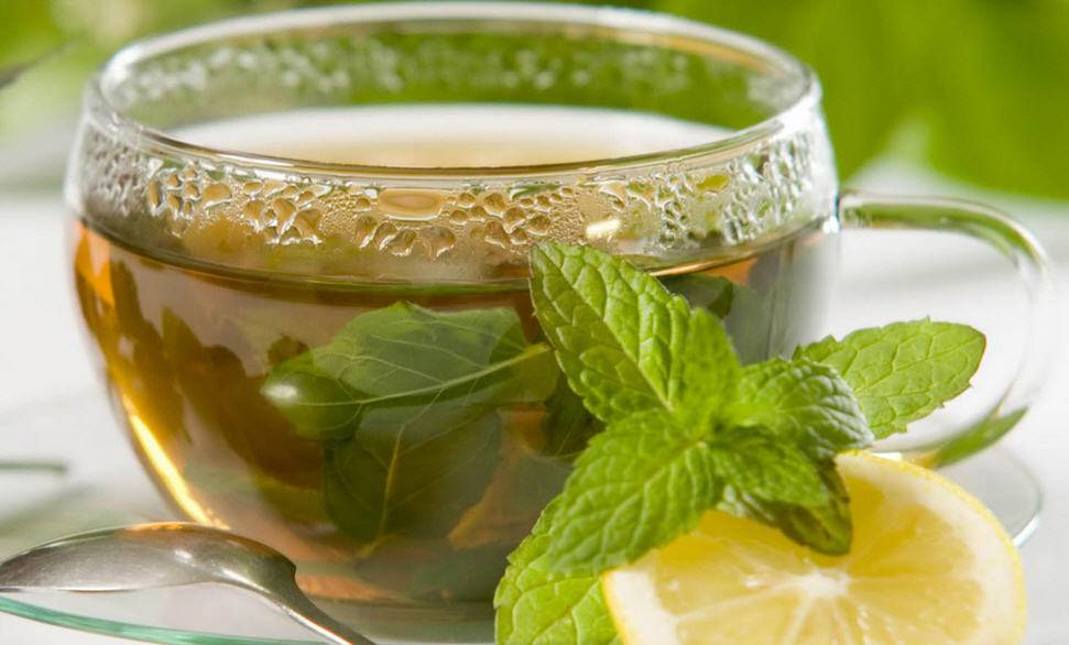 Можно ли пить чай беременным: зеленый, с мятой, чабрецом, лимоном, каркаде, мелиссой
