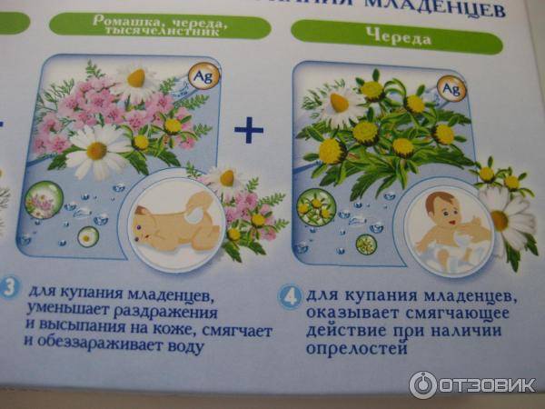 Как заваривать ромашку для купания новорожденного
