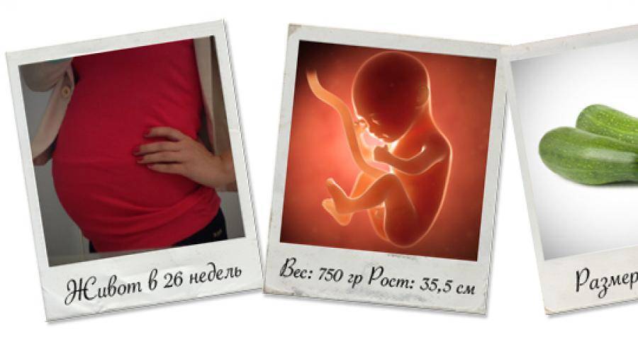 26 неделя беременности: что происходит с ребенком и мамой на этом этапе