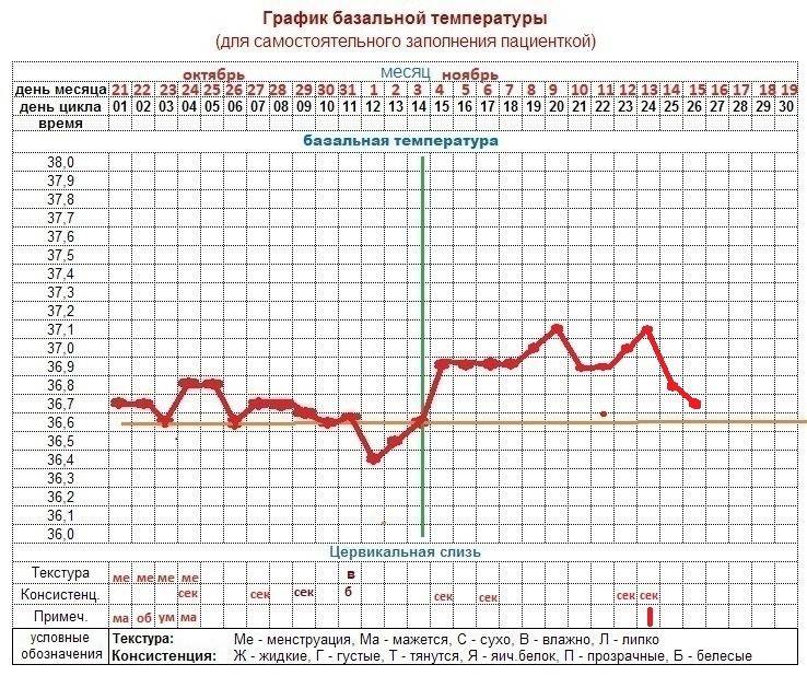 Температура при беременности