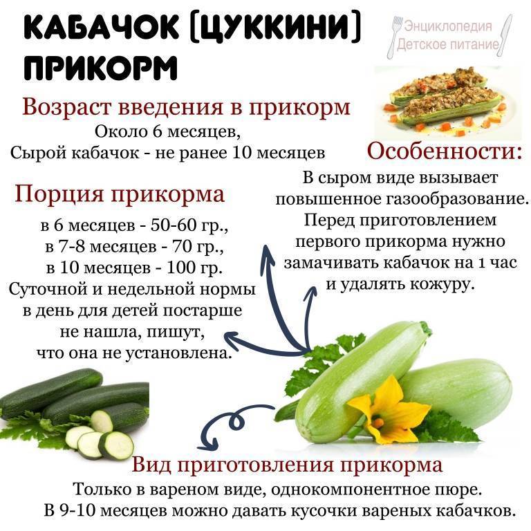 Как приготовить кабачок для первого прикорма: рецепт пюре для грудничка