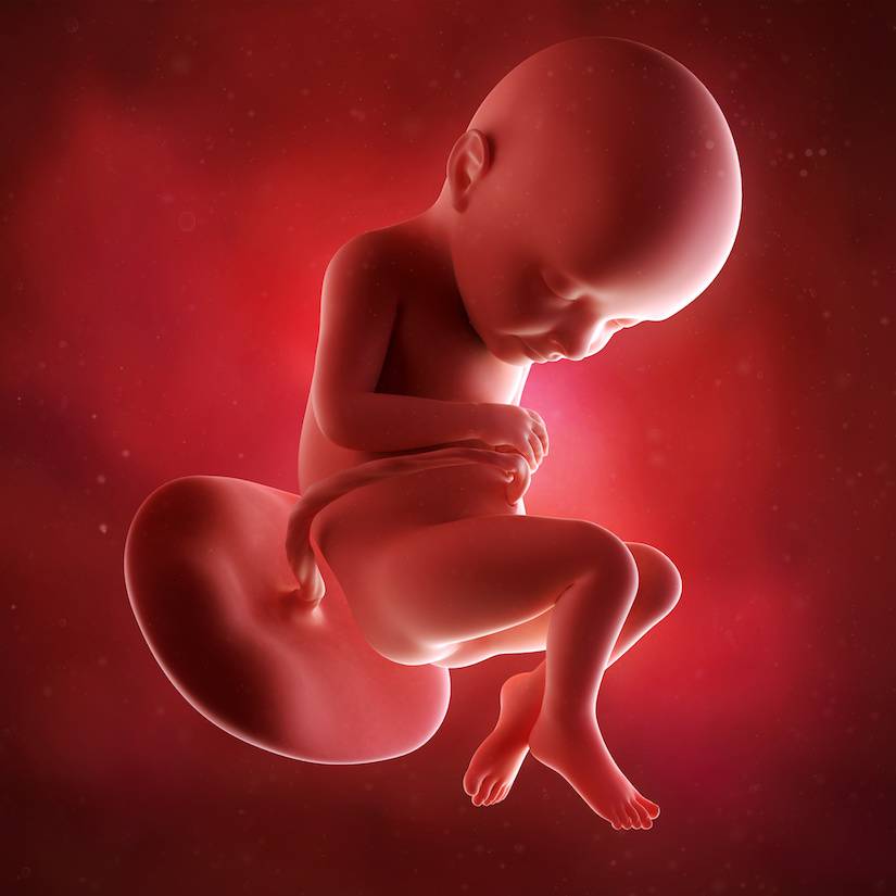 32 неделя беременности (46 фото): что происходит с малышом и мамой, сколько месяцев в 32-31 неделе, секс и развитие плода на 32 акушерской неделе