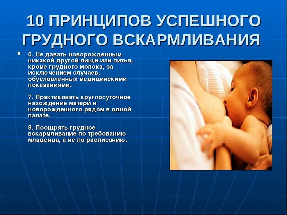 6 вскармливание новорожденных. Принципы грудного вскармливания. Принципы успешного вскармливания. Основные принципы успешного грудного вскармливания. Принципы вскармливания новорожденного.