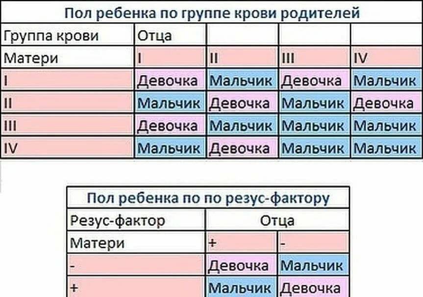 Схема групп крови родителей