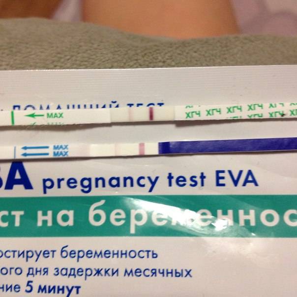 Тест на беременность. как он работает? когда и как делается? виды теста на беременность :: polismed.com