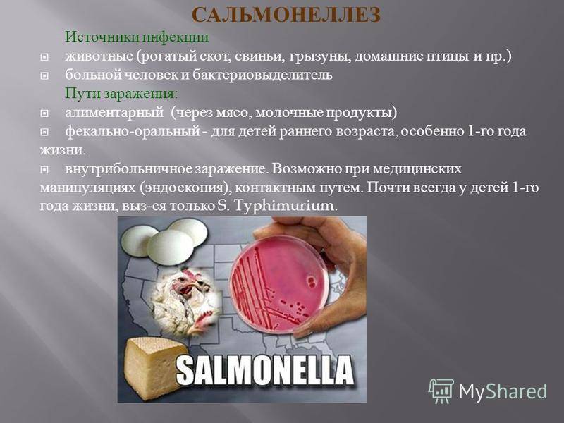6 возможных осложнений сальмонеллёза у детей