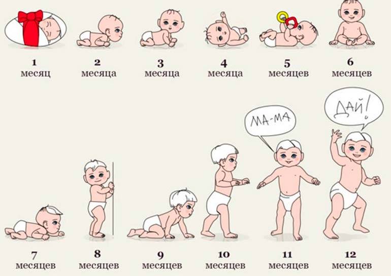 Календарь и нормы развития ребенка от рождения до 1 года: точные таблицы по месяцам
