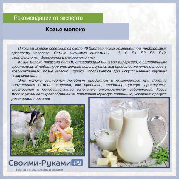 Козье молоко для детей: можно ли, с какого возраста?