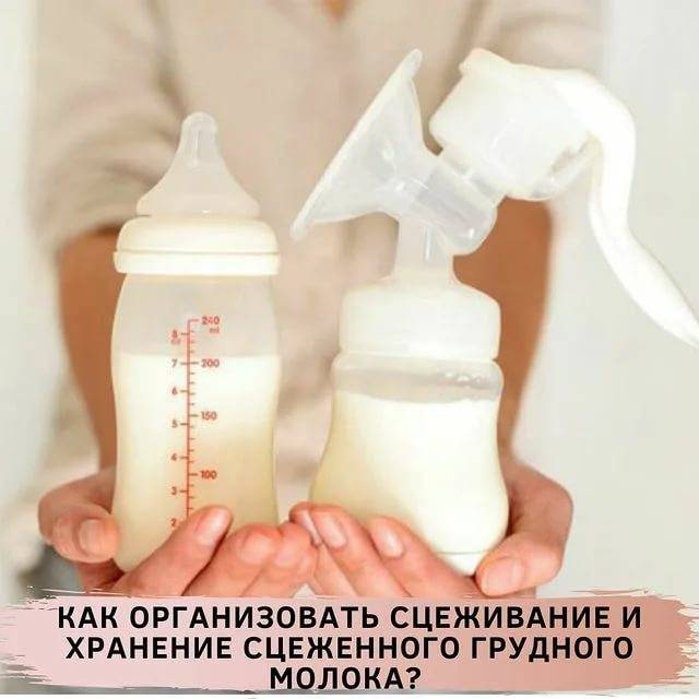Как сцеживать грудное молоко руками правильно. сколько хранится грудное молоко в холодильнике - medside.ru