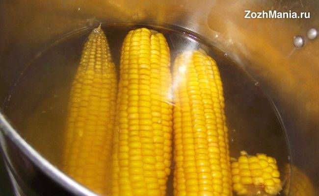 Можно ли консервированную кукурузу кормящей маме?