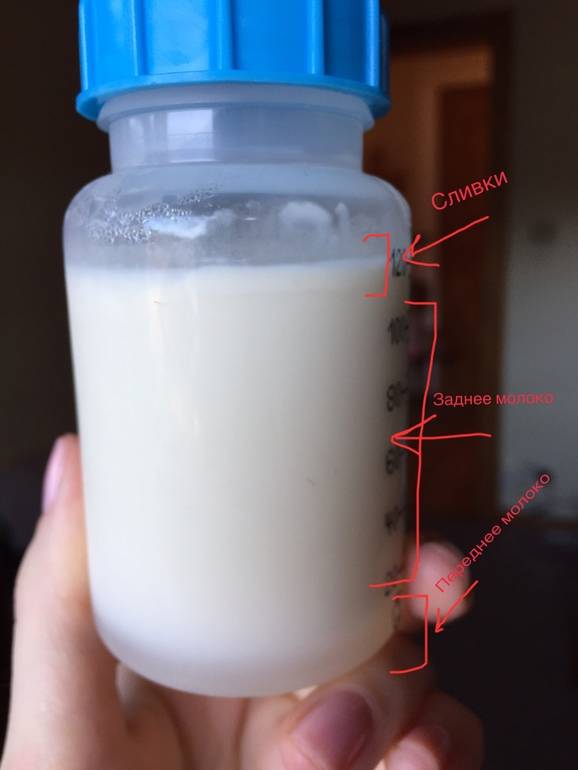 Способы увеличения количества и жирности грудного молока