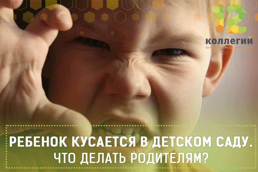 Что делать, если ребенок начал кусаться в детском саду: советы опытного психолога