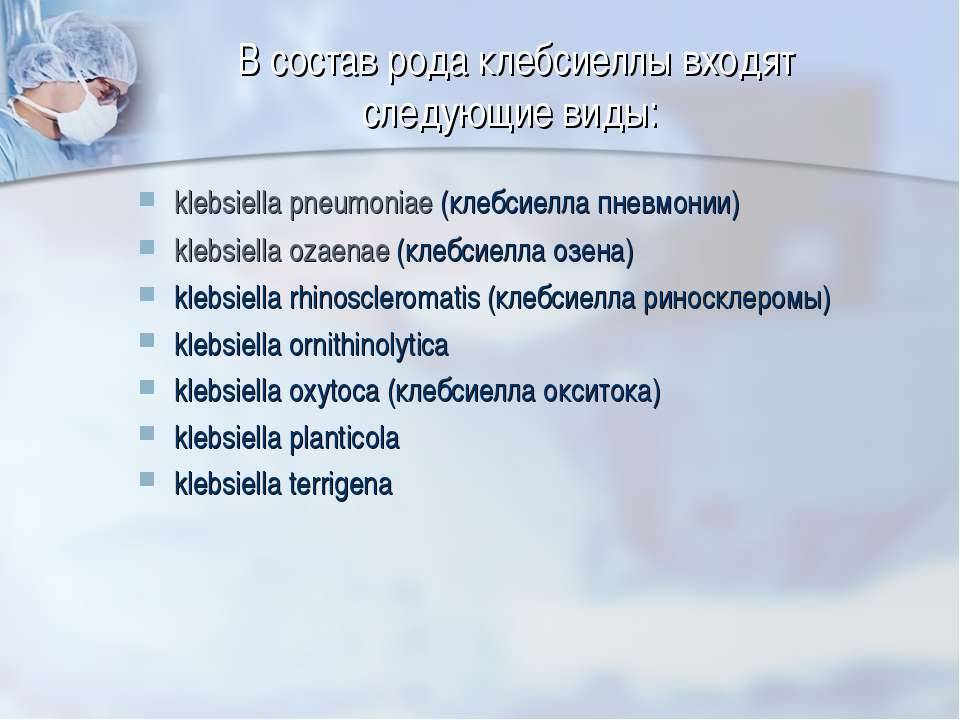 Klebsiella pneumoniae презентация