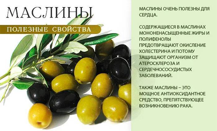 Консервированные маслины при беременности: что полезного и вредного есть в фрукте