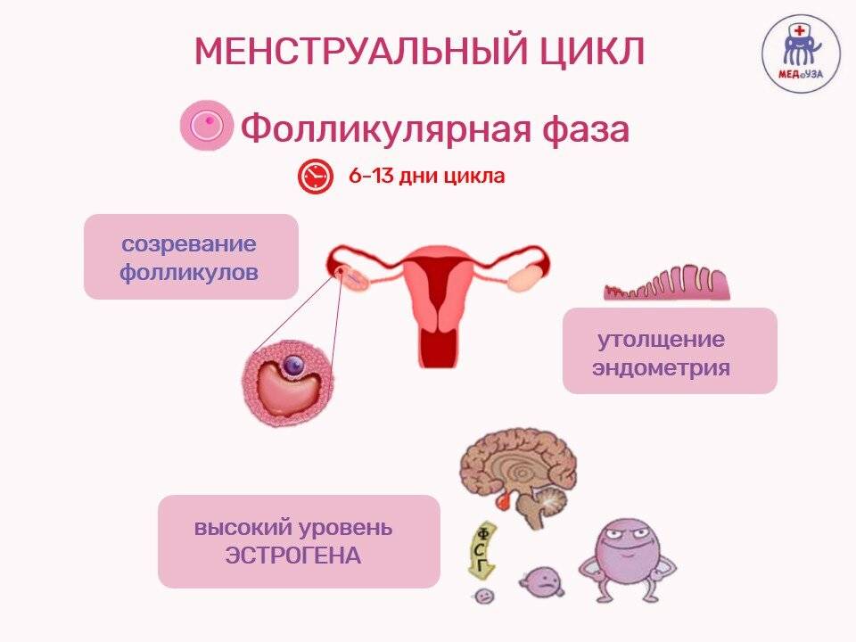 Девочке о менструации
