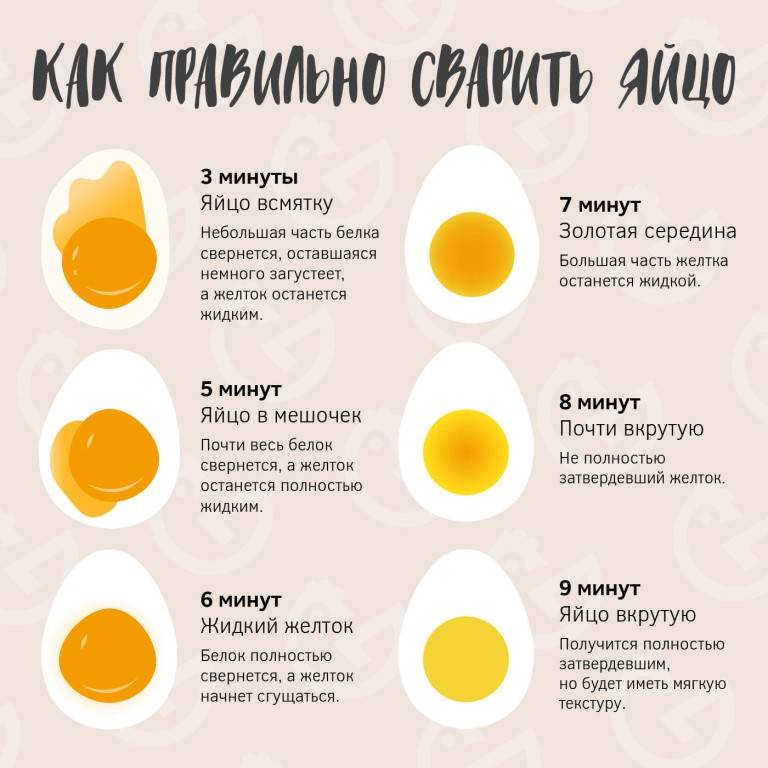 Перепелиные яйца польза и вред для детей: как давать, сколько можно есть
