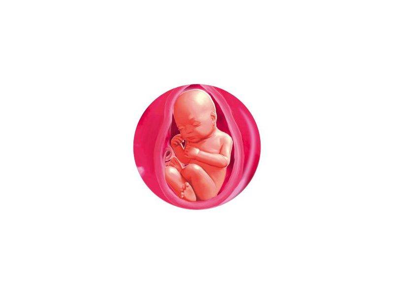 Выделения при беременности - медицинский портал eurolab