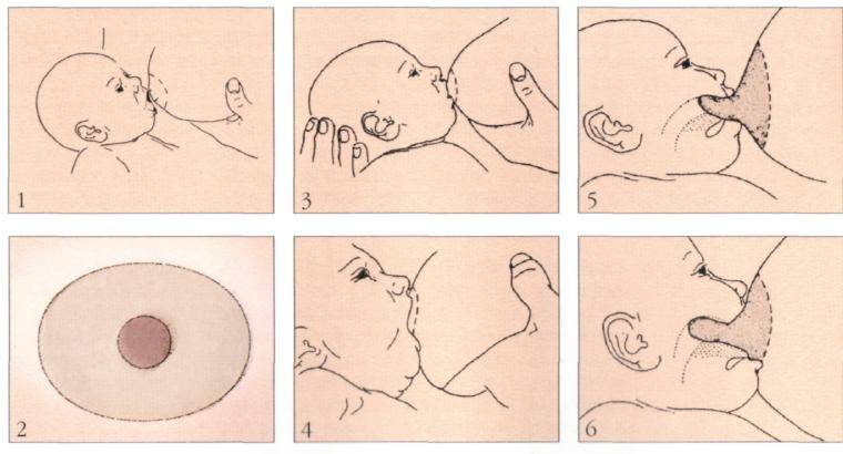 Как приучить младенца к грудному вскармливанию