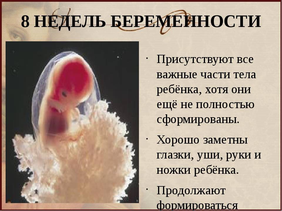 9 недель беременности – что происходит, развитие плода, ощущения, как выглядит живот - agulife.ru