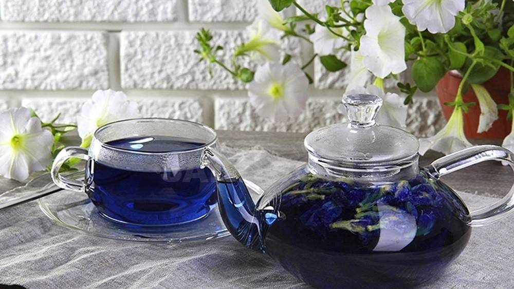 Пурпурный чай чанг-шу – польза, вред, как принимать для похудения
