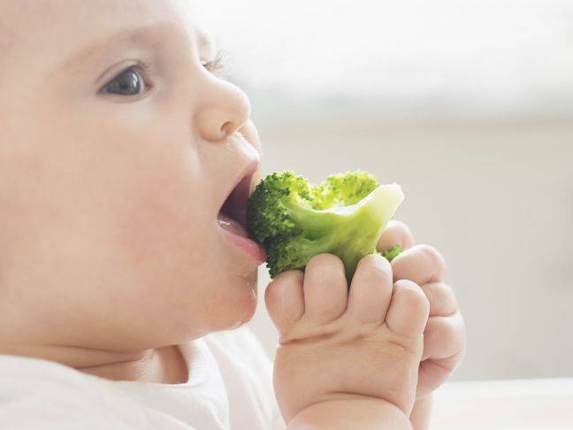 С какого возраста можно давать ребенку белокочанную капусту? сколько варить в супе, блюда для малышей до года