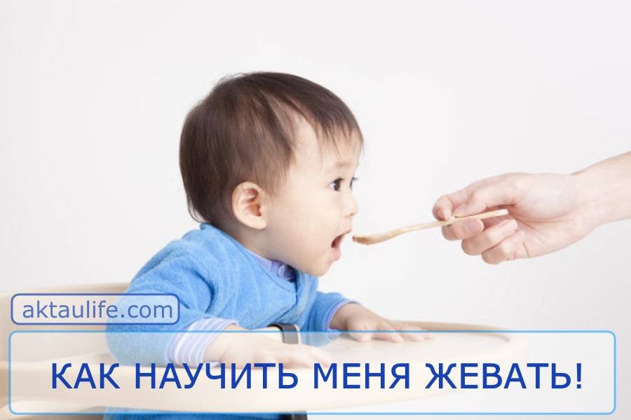 Малыш не может глотать твердую пищу и давится? как научить ребенка жевать самостоятельно?
