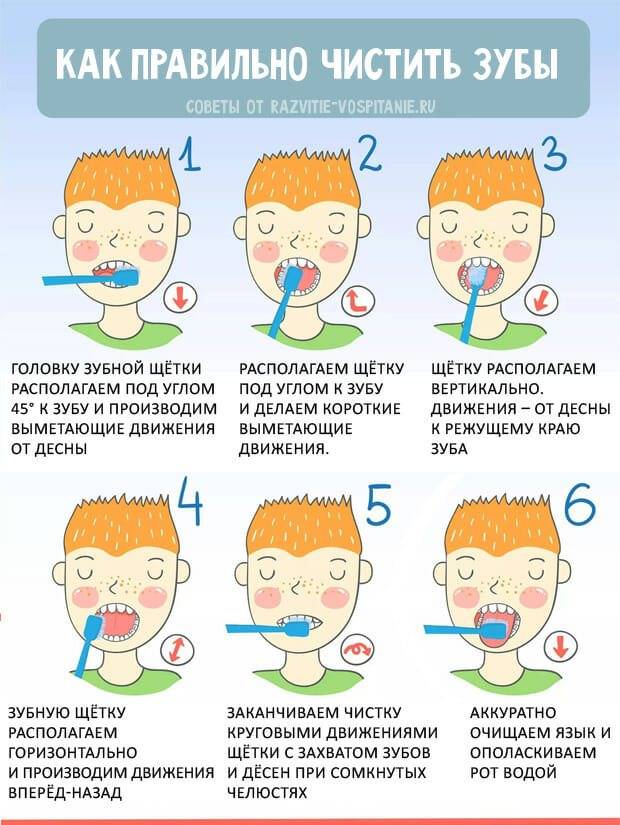 Как правильно чистить зубы ребенку и когда начинать это делать? - в севастополе