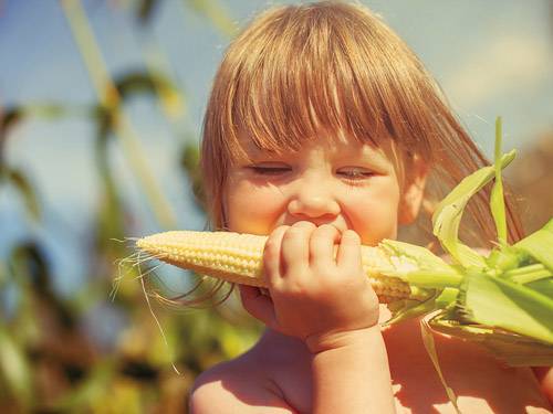 Когда можно давать ребенку кукурузу