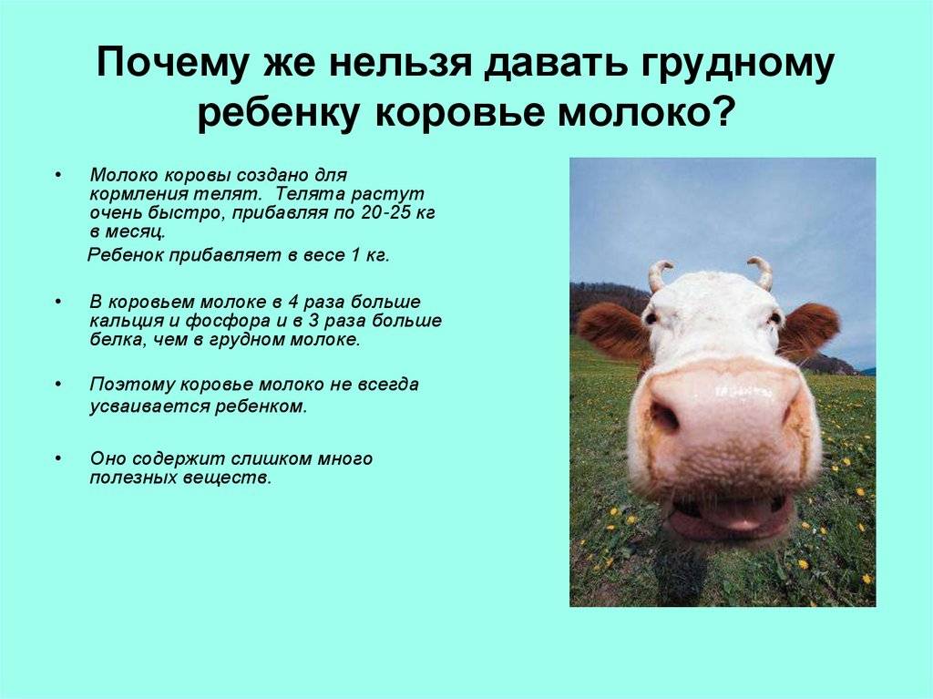 Коровье молоко - искусственное вскармливание - страна мам