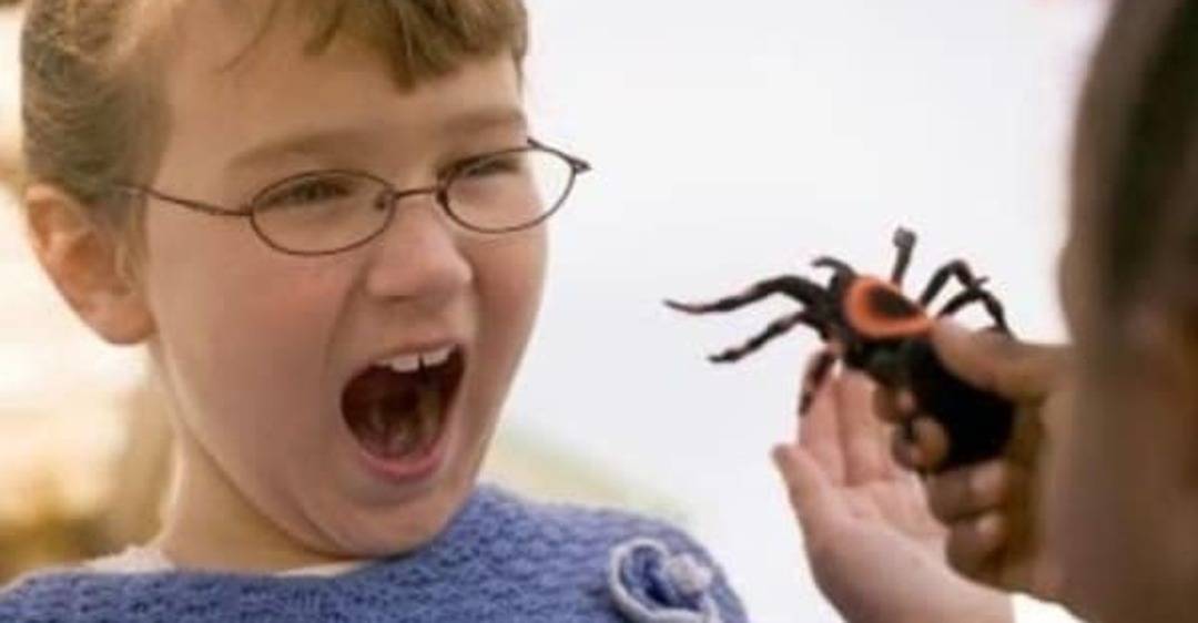 Как быть, если ребенок стал бояться насекомых? - для мам