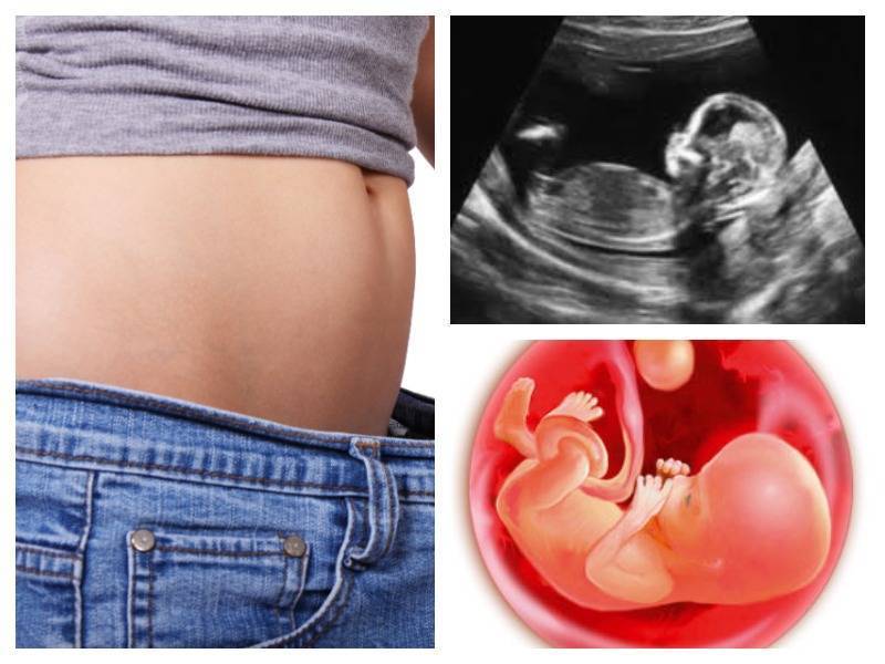 13 неделя беременности: признаки и ощущения женщины, симптомы, развитие плода