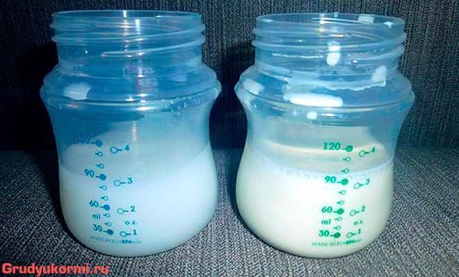Жирность молока: основные показатели и факторы, влияющие на этот критерий