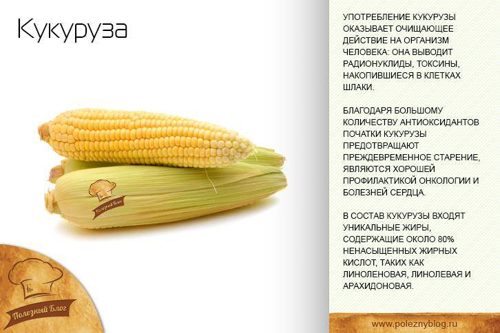 Кукуруза при беременности: польза и вред. как употреблять кукурузу при беременности и есть ли ограничения?