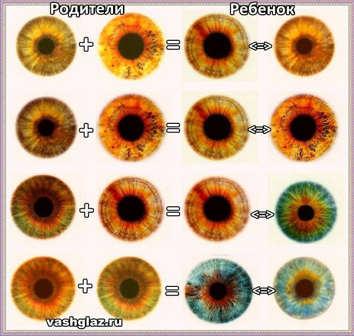 Почему глаза меняют цвет?