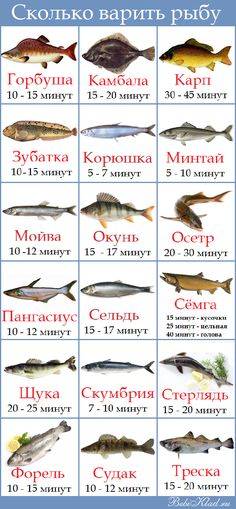 Горбуша: калорийность, польза и вред рыбы, полезные свойства для мужчин, беременных женщин и детей