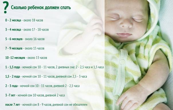 Сколько должен спать ребенок в 5 месяцев, режим младенца
