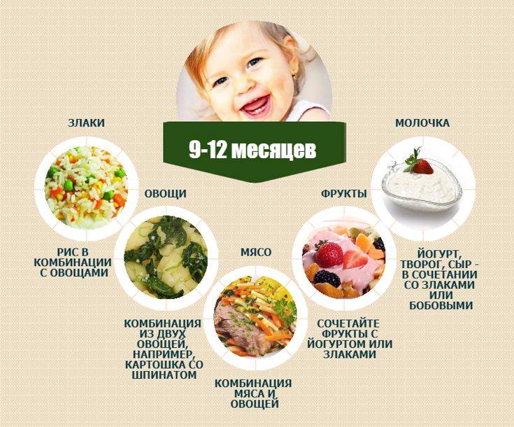 Питание ребенка в 10 месяцев: какой должна быть схема питания и особенности составления режима для младенца