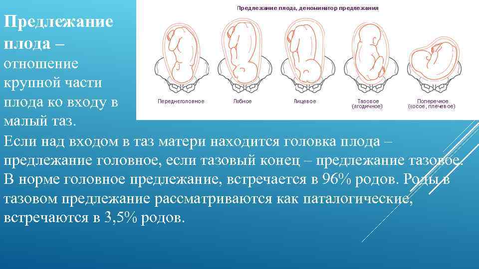 Когда перевернулся ребенок из косого предлежания