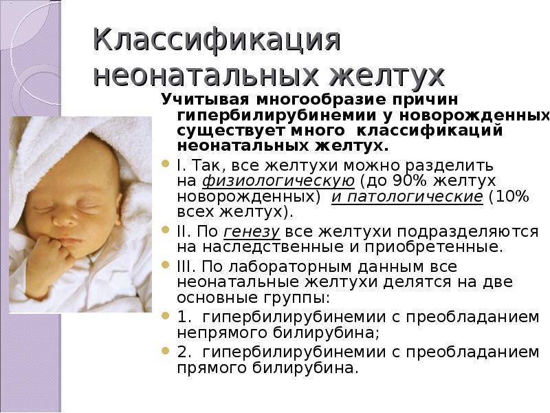 Говорим о желтушке у новорождённых с врачом-педиатром высшей категории